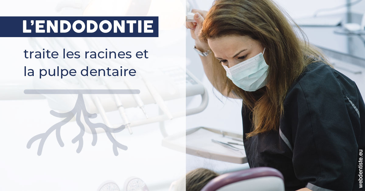 https://dr-bellaiche-jean-marc.chirurgiens-dentistes.fr/L'endodontie 1
