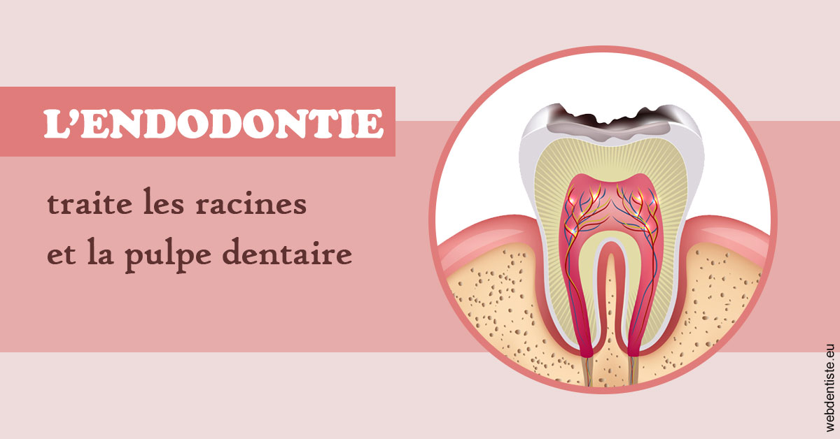 https://dr-bellaiche-jean-marc.chirurgiens-dentistes.fr/L'endodontie 2