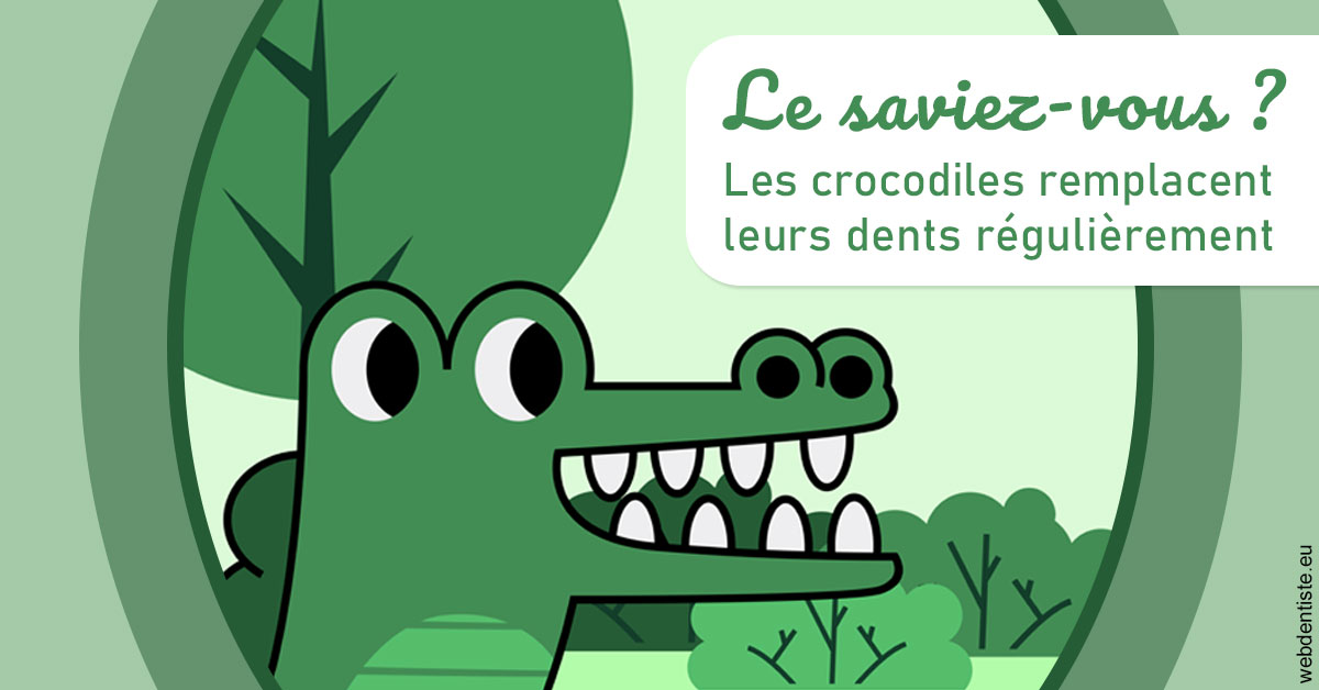 https://dr-bellaiche-jean-marc.chirurgiens-dentistes.fr/Crocodiles 2